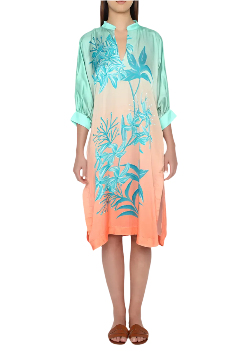 Rani Kaftan Dress