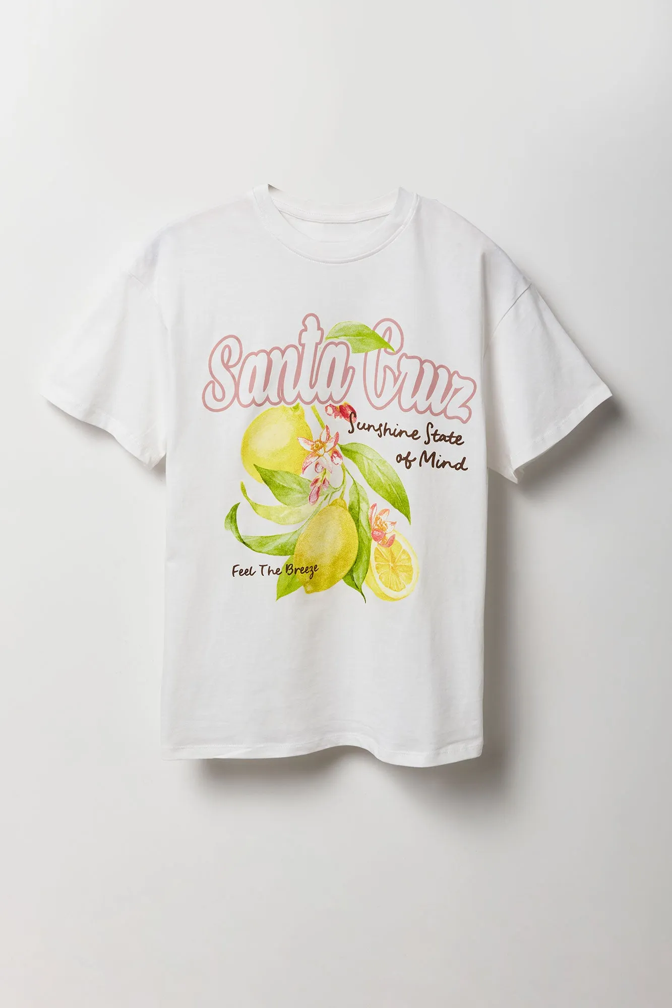 Santa Cruz Graphic Boyfriend T-Shirt