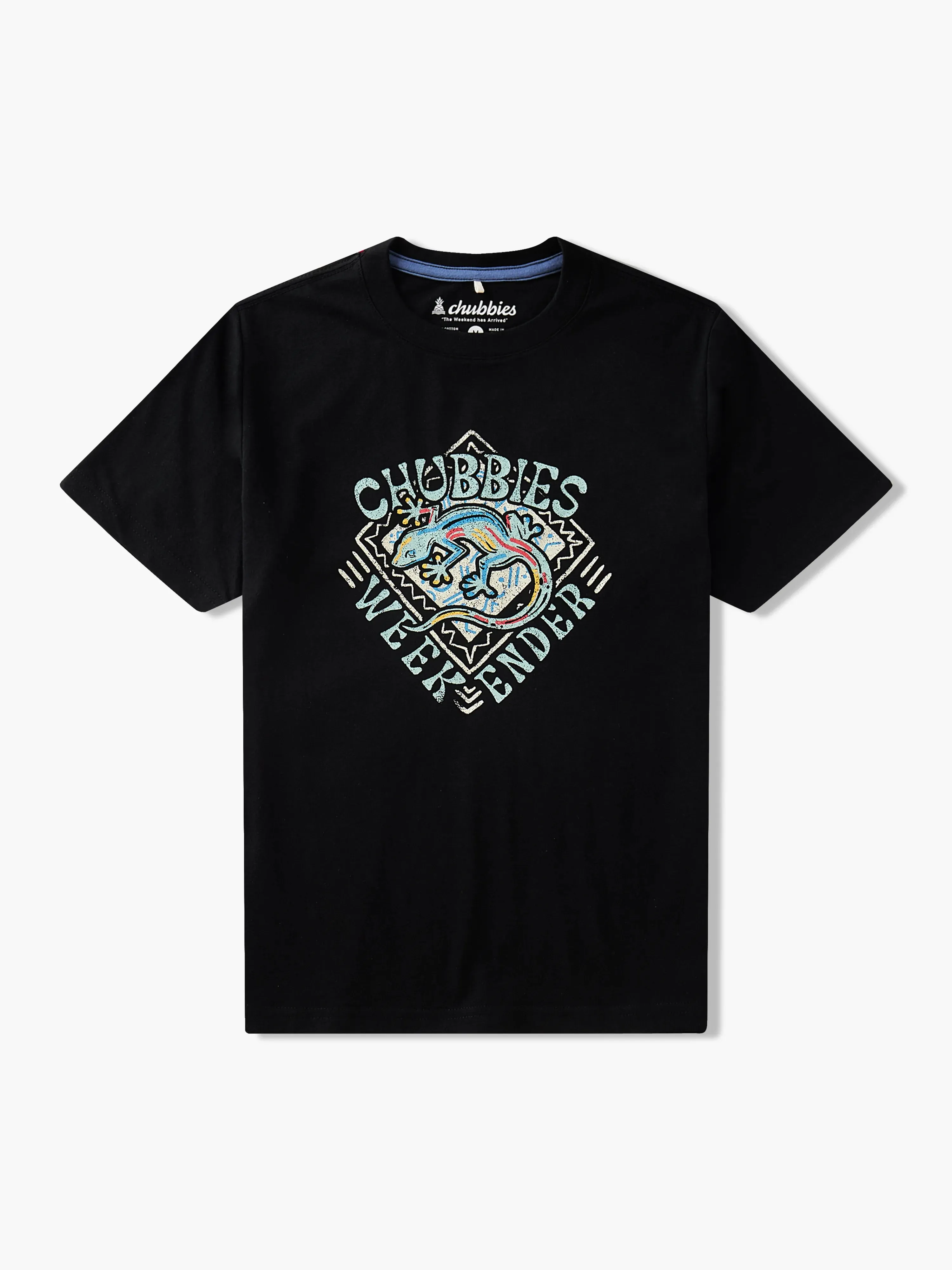 The Gecko Deco (Boys Non Pocket Graphic T-Shirt)