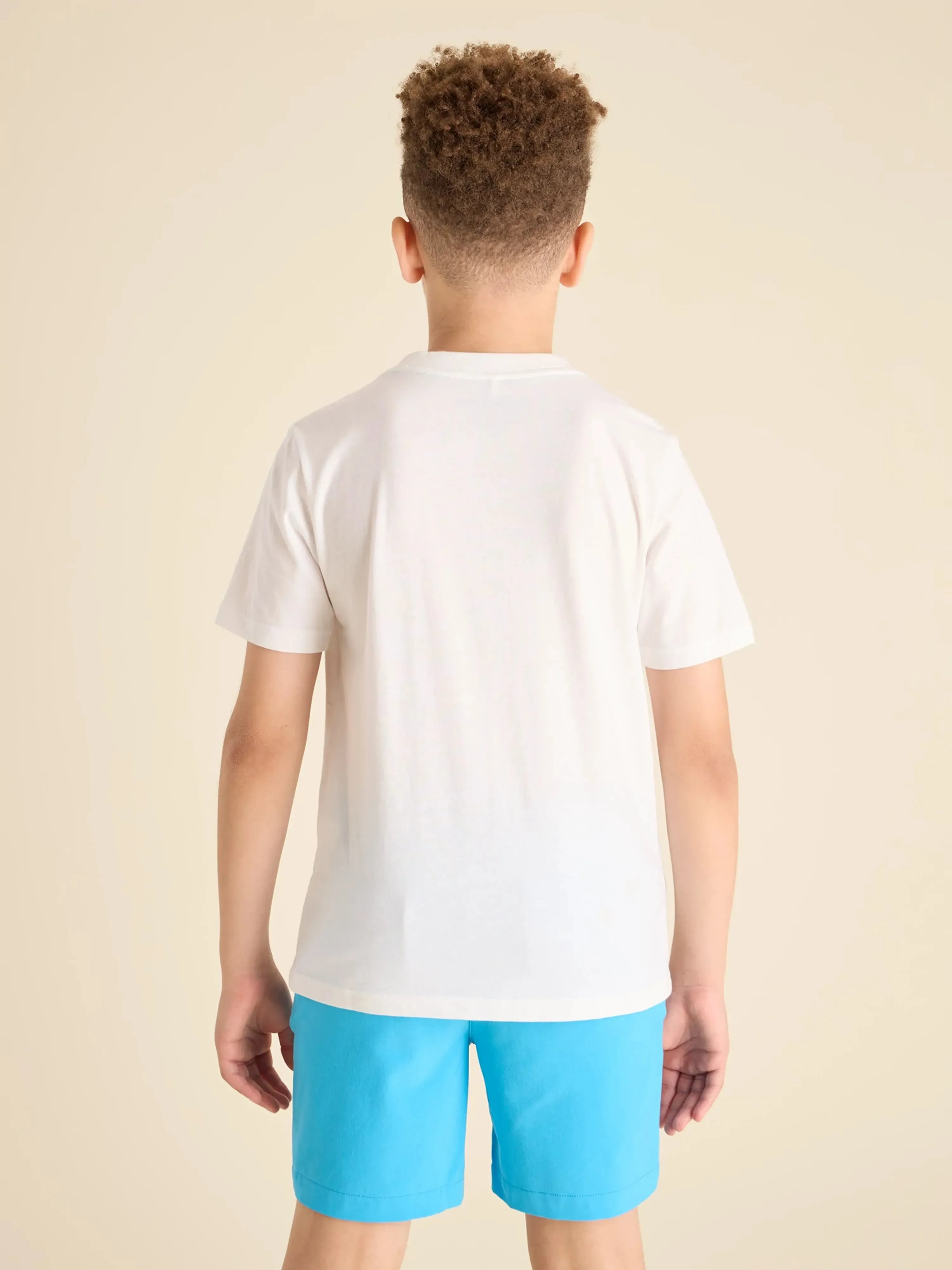 The Lifeguard Dino (Boys Non Pocket T-Shirt)