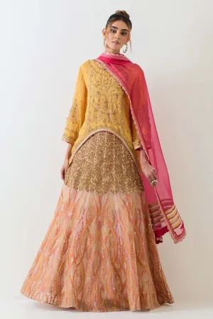 Yellow Organza Hand Embellished Lehenga Set